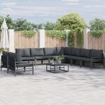 vidaXL Ensemble de canapé de jardin 10 Pièces Anthracite Acier