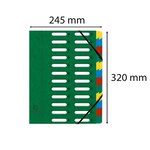 Trieur HARMONIKA® à fenêtres et élastique carte lustrée 24 comp Vert EXACOMPTA