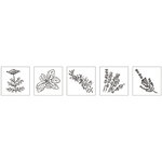 Kit mini - tampons bois:Herbes aromatiques  5 pces 2x2x2 5cm+accessoires / bte