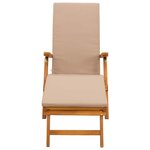 vidaXL Chaise longue inclinable et pliable 2 Pièces 55 x 146 x 91 cm