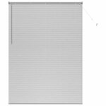 vidaXL Store de Fenêtre avec des rideaux Manuel Argent Aluminium