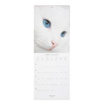 Petit calendrier mural chats - 2023 - draeger paris