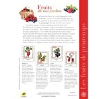 Collector 4 timbres - Les fruits de printemps - Lettre Verte