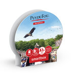 Puy du fou® – séjour famille 2 jours / 1 nuit – hôtel la villa gallo-romaine 2 adultes et 1 enfant en 2023 - smartbox - coffret cadeau séjour