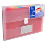 Trieur Valisette PP 13 Compartiments 33X25 CRYSTAL x 5 EXACOMPTA