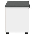 vidaXL Banc d'entrée avec coussin avec stockage Blanc 60 x 38 x 46 cm