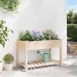 vidaXL Cache-pot de jardin avec étagère Beige 115 x 59 x 76.5 cm