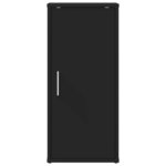 vidaXL Armoire à chaussures Noir 32x35x70 cm Bois d’ingénierie