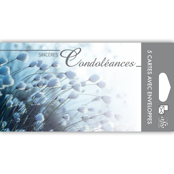 Lot 5 cartes remerciements condoléances +5 enveloppes blanches format 9x14cm