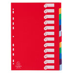 EXACOMPTA Intercalaire en polypropylène, format A4, 12 positions assortis pastel