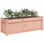 vidaXL Jardinières 2 Pièces cm bois massif douglas