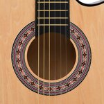 vidaXL Jeu de guitare 12 Pièces acoustique pan coupé western 6 cordes 38"