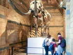 SMARTBOX - Coffret Cadeau Visite guidée du musée d'histoire naturelle de Londres en duo -  Sport & Aventure