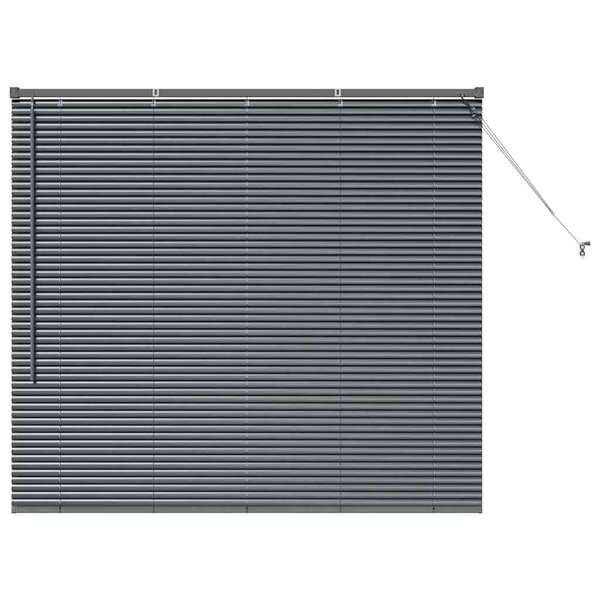 vidaXL Store de Fenêtre avec des rideaux Manuel Gris foncé Aluminium