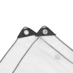 vidaXL Couverture pour plantes Transparent 2 x 12 m PE