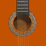 Vidaxl guitare classique pour débutants 4/4 39" tilleul