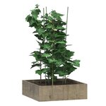 vidaXL Supports pour plantes de jardin 3 anneaux 5Pièces Vert 75 cm Acier