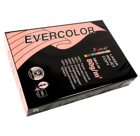 Ramette de 500 feuilles papier couleur recyclé EVERCOLOR 80gr format A4 rose x 5 CLAIREFONTAINE