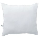 vidaXL Oreillers 2 Pièces Blanc 60 x 60 cm