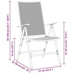 vidaXL Ensemble de salle à manger pour jardin 9 Pièces Anthracite Acier