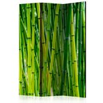 Paravent 3 volets - bamboo forest [room dividers] cm