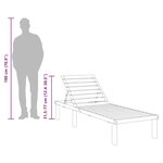 vidaXL Chaise longue Bois de pin imprégné
