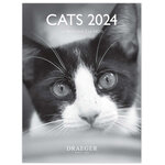 Petit calendrier mural 14x18  cm - 2024 - Chats noir et blanc - Draeger