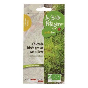 Graines à semer - Salade frisée grosse pancalière - 0 5 g