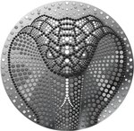 Pièce de monnaie en Argent 5 Dollars g 62.2 (2 oz) Millésime 2025 Lithuanian Lunar Year SNAKE