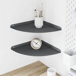 vidaXL Étagère flottante avec étagère 2 Pièces Anthracite 30 x 30 x 2 cm