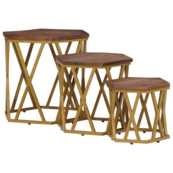 vidaXL Tables basses Marron 55 x 55 x 50 cm Bois de mangue massif