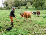 Séance de golf originale parmi les animaux en normandie - smartbox - coffret cadeau sport & aventure