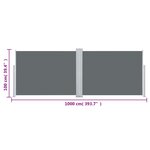 vidaXL Auvent latéral rétractable Anthracite 100 x 1000 cm