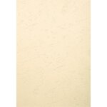 Paquet De 100 Couvertures Grain Cuir Pour Reliure A4 - Ivoire - Papeteries De Clairefontaine
