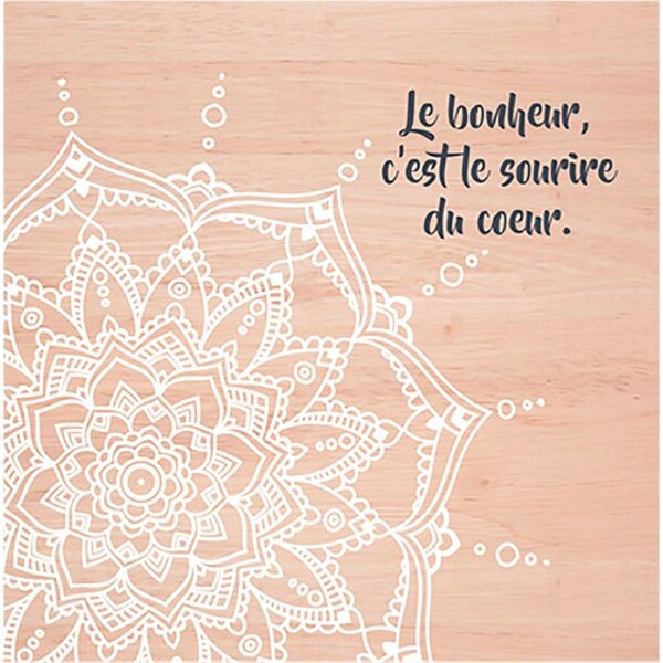 Cadre en toile mandala collection apache 40 x 40 cm