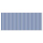 vidaXL Auvent Rétractable Bleu et blanc 300 x 250 cm tissu