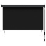 vidaXL Store enrouleur Noir 60 x 250 cm Tissu et Aluminium