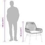 vidaXL Chaises de jardin lot de 2 avec coussins noir résine tressée