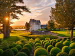 Entrée coupe-file adulte pour le château royal d'amboise - smartbox - coffret cadeau sport & aventure