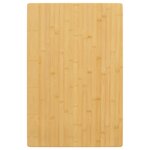 vidaXL Dessus de table 40x60x2 5 cm bambou
