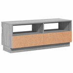 vidaXL Meuble TV avec lumières LED sonoma gris 100x35x40 cm