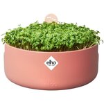 Pot de fleurs Rond MAGIC MICROGREENS - Plastique - Ø 16 - Terra Caramel