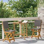 vidaXL Chaises de bistrot d'extérieur 2 Pièces Gris foncé