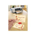 Pochette de 250 cartes de visite 85x54mm quick&clean laser mate 220g coins ar... Avery zweckform