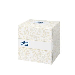 Premium Mouchoirs double épaisseur extra-doux - Boîte cubique de 100 feuilles - Blanc (paquet 100 feuilles)