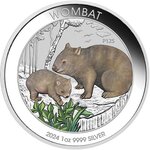 Pièce de monnaie en Argent 1 Dollar g 31.1 (1 oz) Millésime 2024 WOMBAT