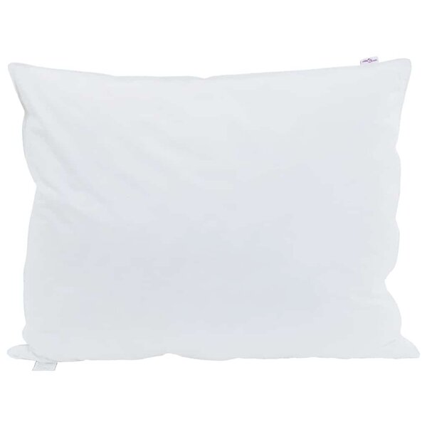 vidaXL Oreiller avec oreiller 2 Pièces Blanc 50 x 75 cm Plume