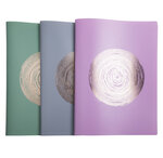 Protège-documents En Pp Recyclé Semi-rigide Ellipse 60 Vues - A4 - Couleurs Assorties - X 12 - Exacompta