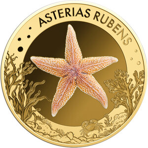 Monnaie COMMON STARFISH Sea Creatures 1/1000 Oz Or 3000 Francs Chad (PRÉCOMMANDE)