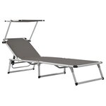 vidaXL Chaises longues pliables et toit 2 Pièces Aluminium textilène Gris